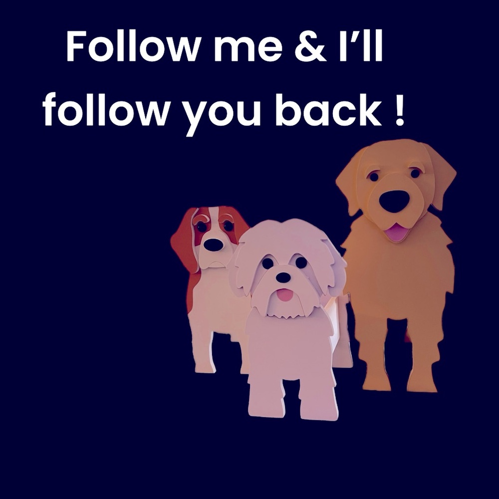 Follow me & I will follow you back